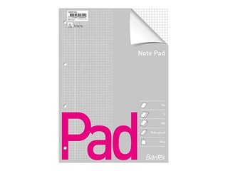 Standard pad Bantex, A4, squared, punched, 100 sheets
