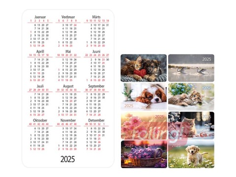 Taskukalender, 65x95mm