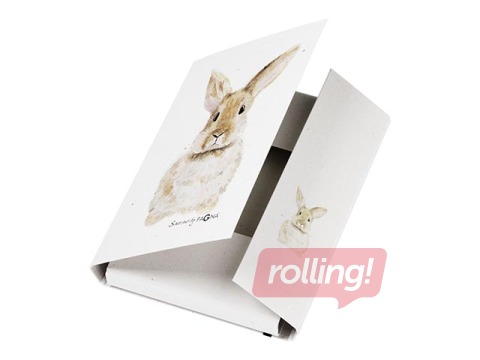 3-Flap Folder Pagna Save me No.4, A4, rabbit