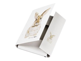 3-Flap Folder Pagna Save me No.4, A4, rabbit