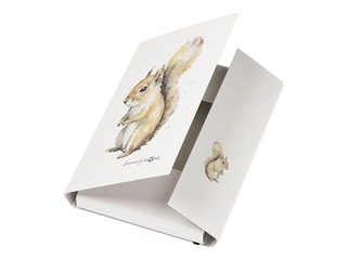 3-Flap Folder Pagna Save me No.4, A4, squirrel