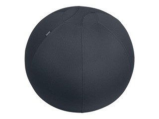 Tasakaalu pall Leitz Ergo, stopperifunktsiooniga, 65 cm